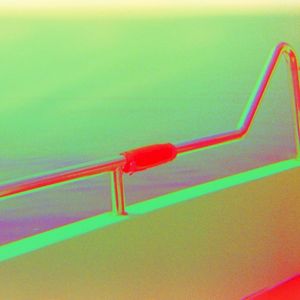 consilience (Single)