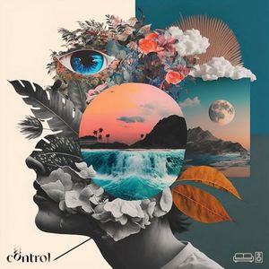 Control (Single)
