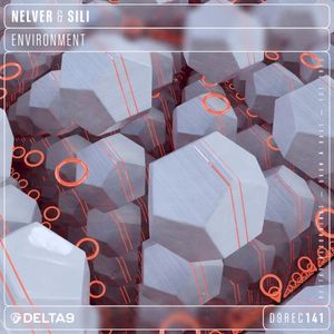 Environment (Single)