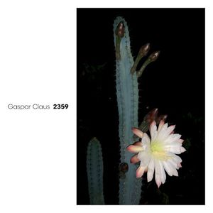 2359 (EP)