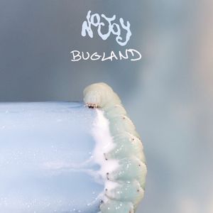 Bugland (Single)