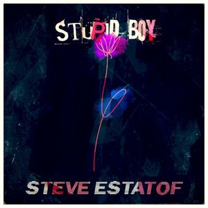 Stupid Boy (Single)