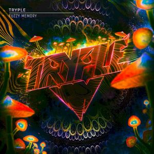 Fuzzy Memory (Single)