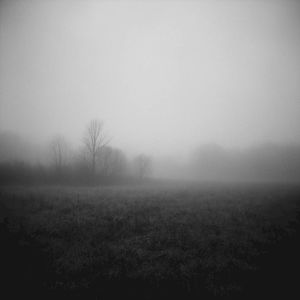 Ripcord (Dream Sequence Version) (Single)