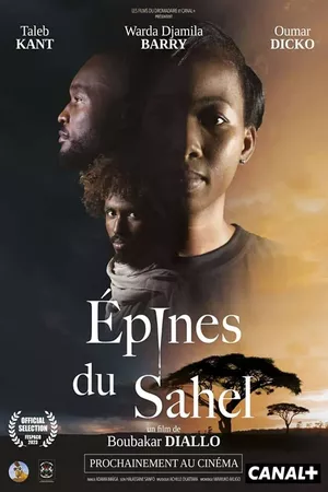 Épines du Sahel