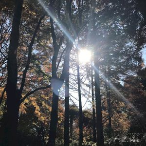 Philosophy’s Path (Single)