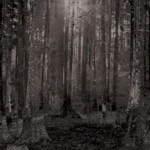 Bosque (Single)