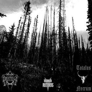 Panzerfaust / Totalus Necrum