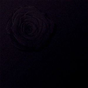 drn_1020