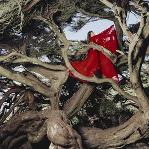 Nested in Tangles