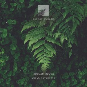 Aural Intensity (EP)