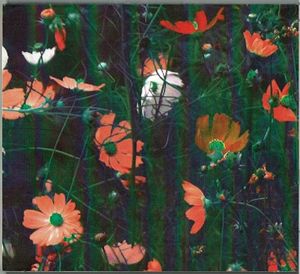 duyster.4