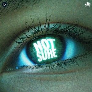 Not Sure (Single)