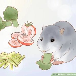 How to Fart (EP)