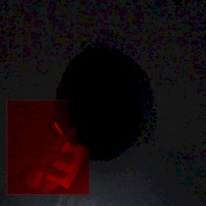 suck it up (Single)