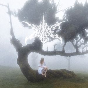 breakdowns (Single)