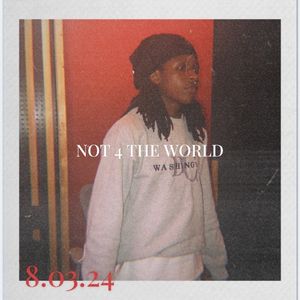 Not 4 the World (EP)