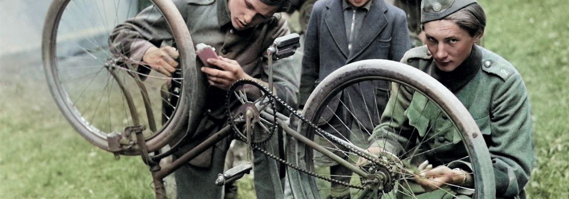 Cover La Suède et la guerre