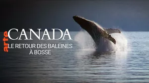 Canada, le renouveau d’un détroit