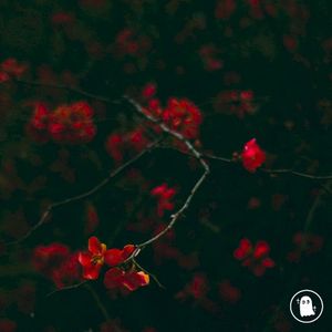 Waiting on You (Single)