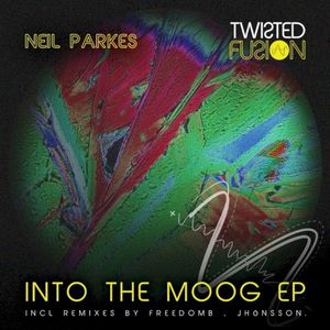 Into the Moog EP (EP)