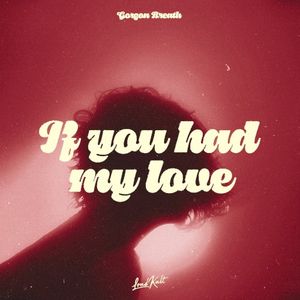 If You Had My Love (Single)