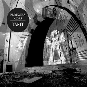 Tanit