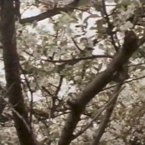 Discovery193 Vol. 2
