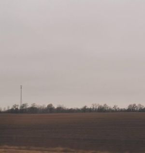 Field (EP)
