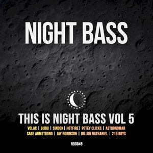 This is Night Bass Vol. 5