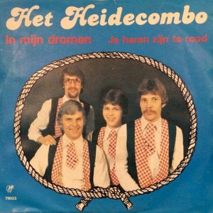 In Mijn Dromen (Single)