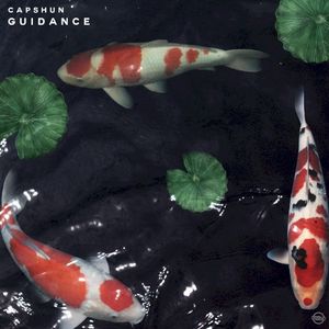 Guidance (Single)