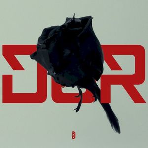 Dor (Single)