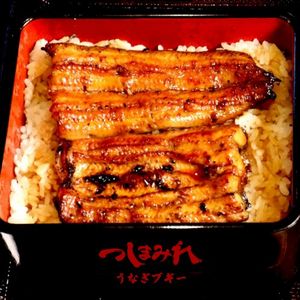 UNAGI BOOGIE (Single)