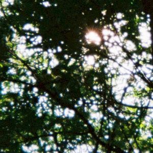 Ожоги твоих сигарет (EP)