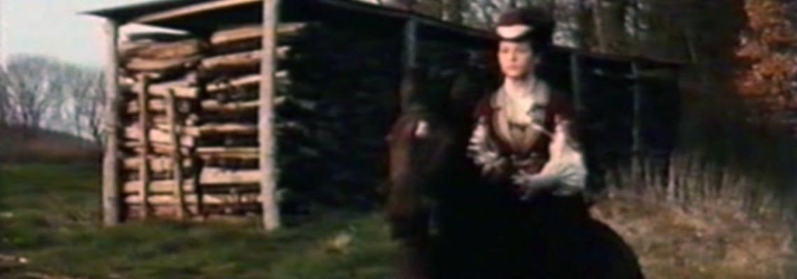 Cover Albert Savarus