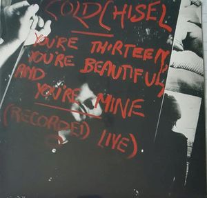 You’re Thirteen, You’re Beautiful, and You’re Mine (Collector’s Edition) (Live)