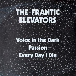 Voice in the Dark (Single)