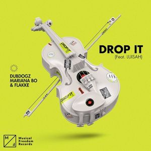 Drop It (Single)
