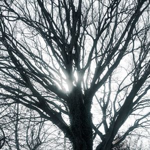 Winter light trail (Single)