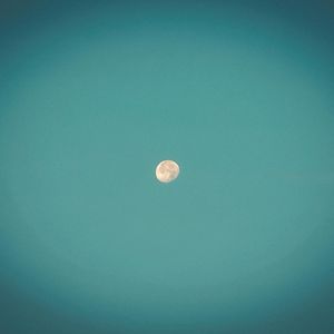Left (Single)