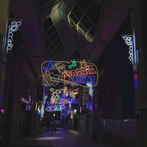 Enchanted Night