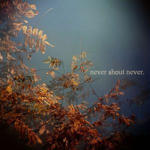 Never Shout Never. (EP)