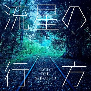 流星の行方 (Single)