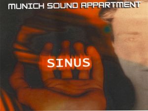 Sinus
