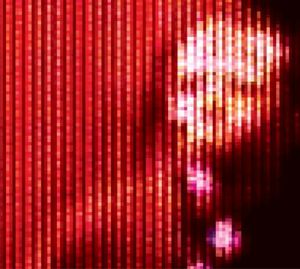 Clear Your Screens (Live)