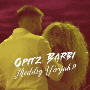 Meddig várjak? (Single)