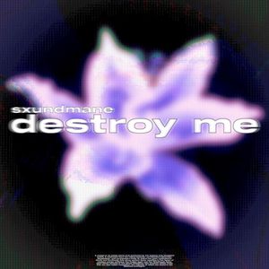 destroy me (Single)