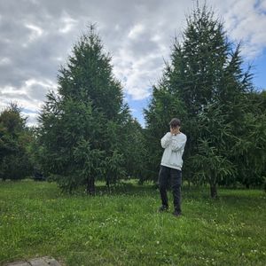 planifie (Single)