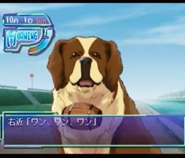 image-https://media.senscritique.com/media/000023071173/0/doki_doki_pretty_league.jpg